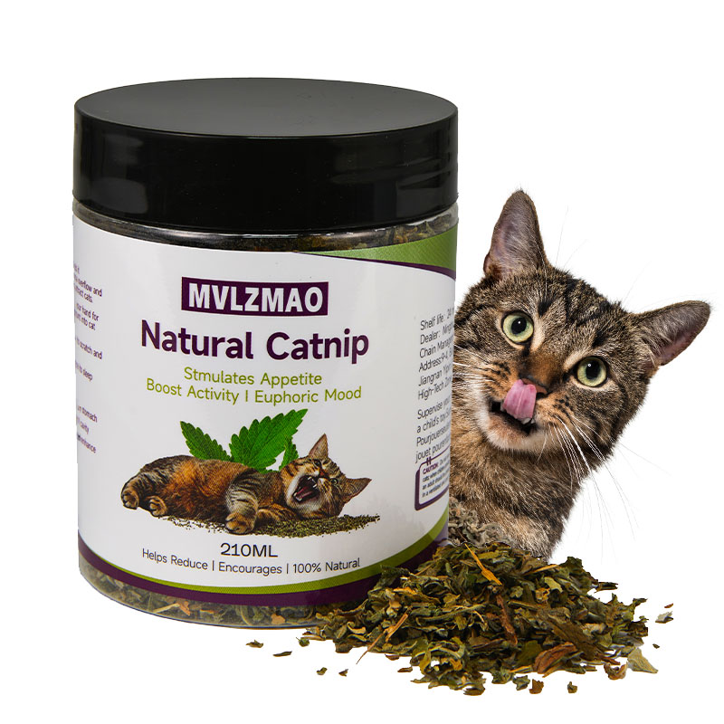 고양이 장난감 - 고양이용 실버바인 개박하, 100%  - Herbal Wellness Blend 리뷰 및 가격
