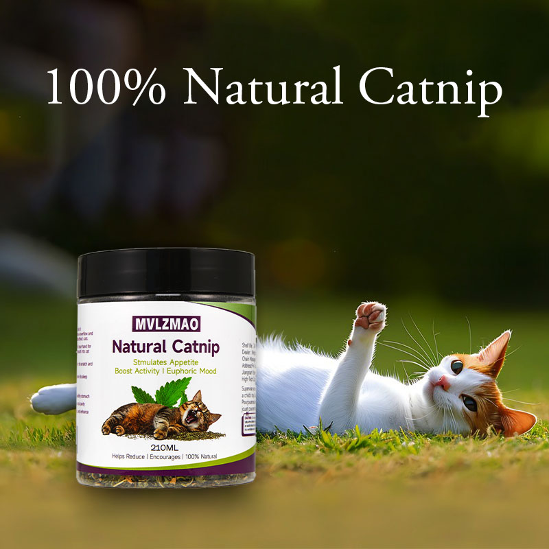고양이 장난감 - 고양이용 실버바인 개박하, 100%  - Herbal Wellness Blend 리뷰 및 가격